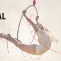 banner-nice-festival-2025